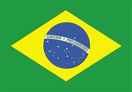 brazil-flag-pelco brazil flag